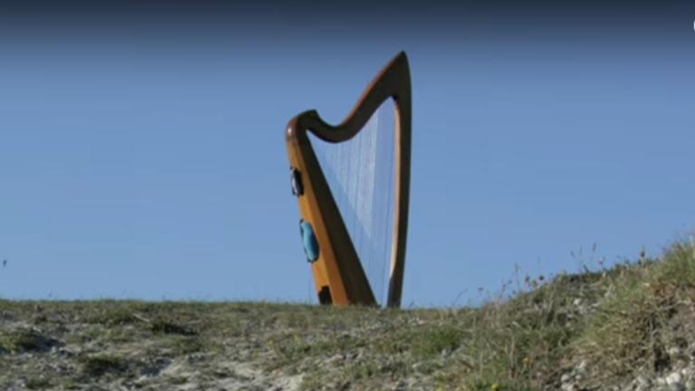 Die Windharfe ist ein Musikinstrument mit W. Manchmal steht sie einfach mitten in der Natur rum. Und erzeugt Töne, wenn der Wind bläst.