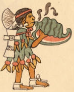 Musikinstrument mit Sch: Ein Indianer spielt auf der Schneckentrompete (16. Jahrhundert)